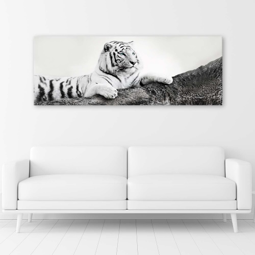 Obraz na plátně, Tygr Afrika Zvířata