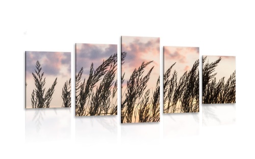5-dílný obraz tráva při zapadajícím slunci