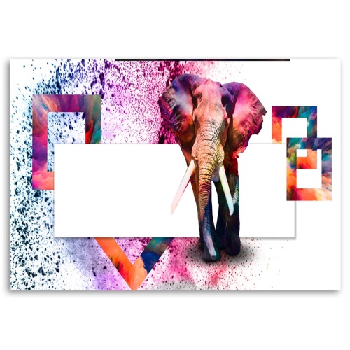 Obraz na plátně Sloní zvířata