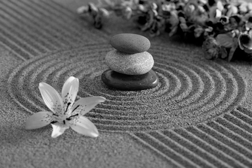 Tapeta kameny a květina v písku