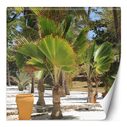 Fototapeta, Palmy na tropické pláži