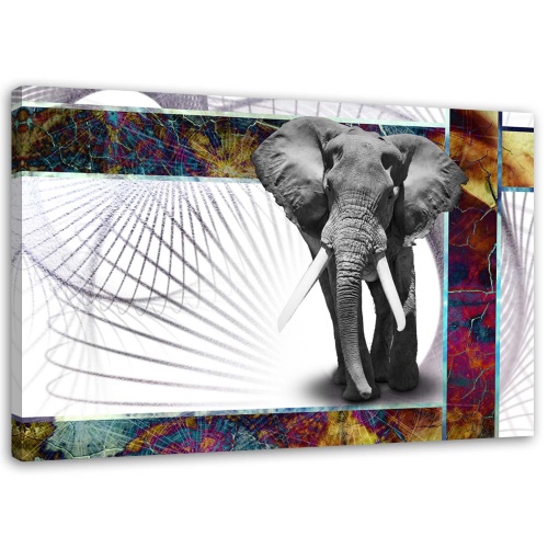 Obraz na plátně Sloní zvířata