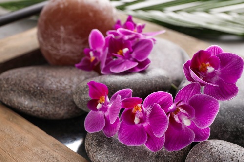 Fototapeta nádherná orchidej a Zen kameny