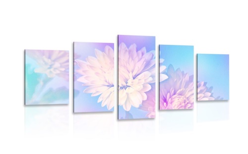 5-dílný obraz květ chryzantémy