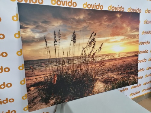 Obraz západ slunce na pláži