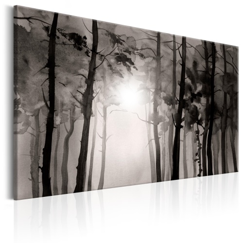 Obraz - Foggy Forest