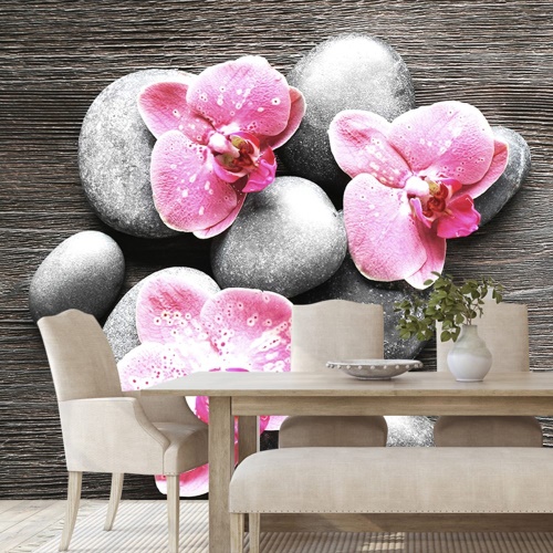 Tapeta Zen kompozice s orchidejí