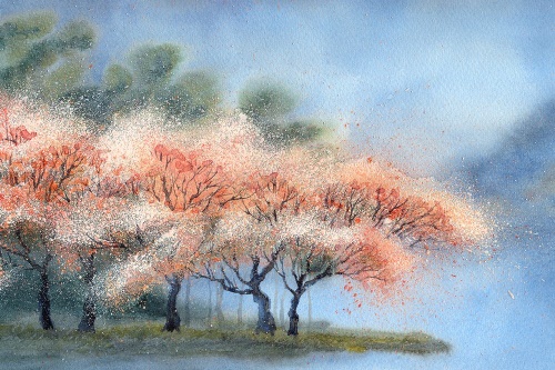 Samolepící tapeta akvarelové kvetoucí stromy