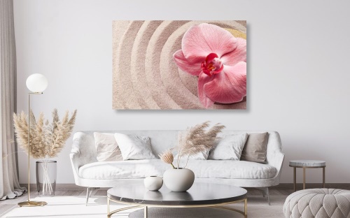 Obraz mořský písek a růžová orchidej