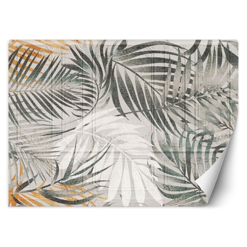 Fototapeta, Tropické palmové listy