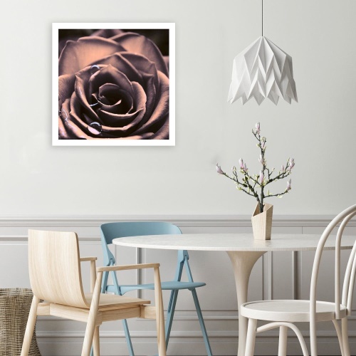 Obraz na plátně Růže Květina Rostlina