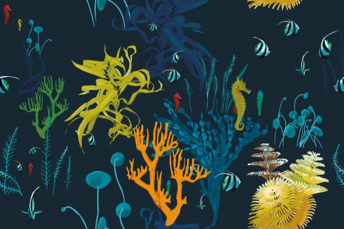 Samolepící tapeta krásy podmořského světa - 75x1000 cm