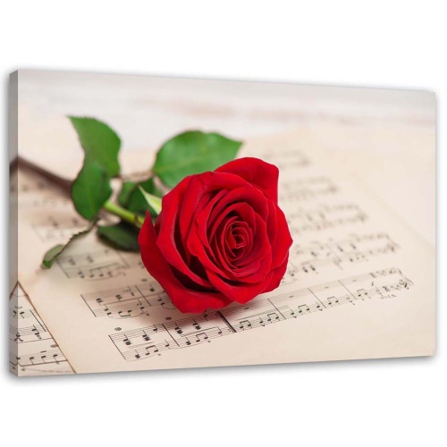 Obraz na plátně Červená růže Květinová hudba