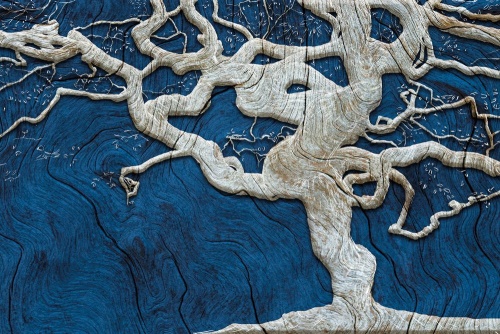 Tapeta abstraktní strom na dřevě s modrým kontrastem