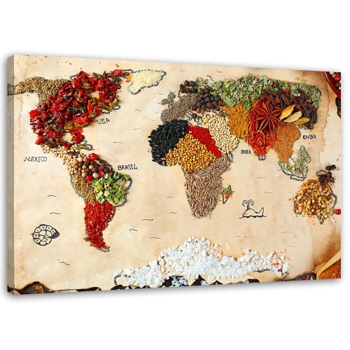 Obraz na plátně Mapa světa Koření