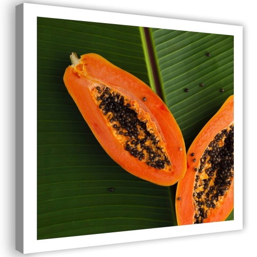 Obraz na plátně Ovocné listy papáji