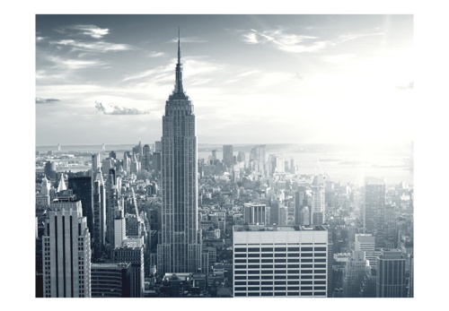 Fototapeta - Amazing view to New York Manhattan at sunrise