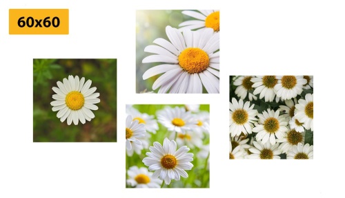 Set obrazů kouzelné květiny