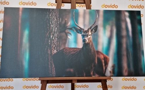 Obraz jelen v lese