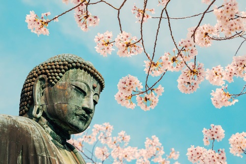 Fototapeta socha Budhy s třešní