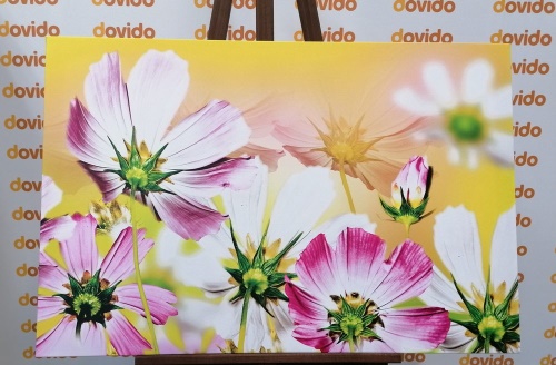 Obraz letní květiny