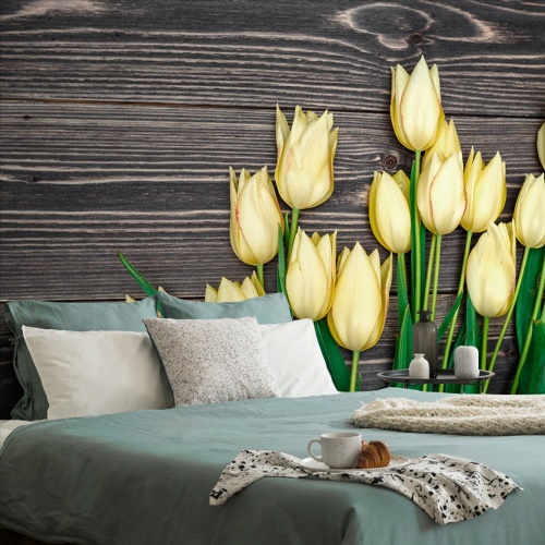 Tapeta žluté tulipány na dřevěném podkladu