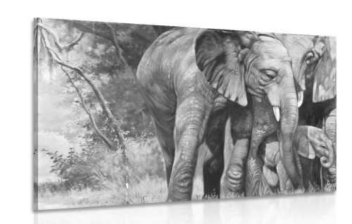 Obraz sloní rodinka v černobílém provedení