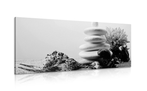 Obraz Zen kameny s mušlemi v čiernobílém provedení