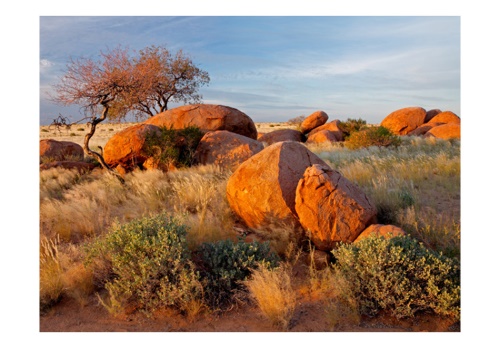 Fototapeta - African landscape, Namibia