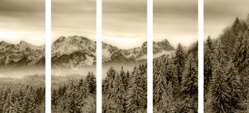 5-dílný obraz zamrzlé hory v sépiové provedení