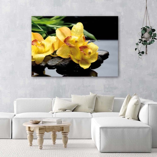 Obraz na plátně Orchidej žlutá květina