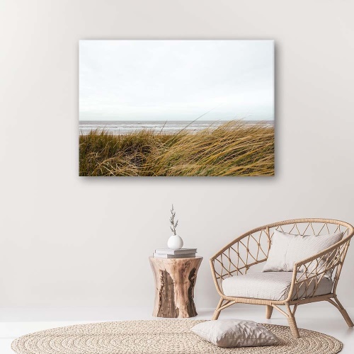 Obraz na plátně Plážová tráva Přírodní duna