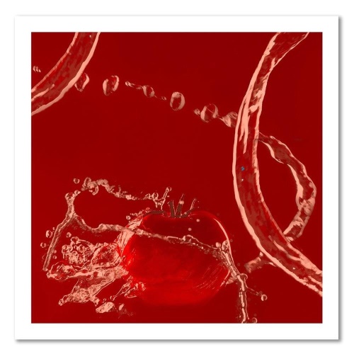 Obraz na plátně Červené rajče ve vodě