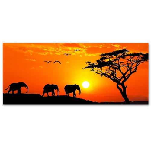 Obraz na plátně Afrika Západ slunce Sloni