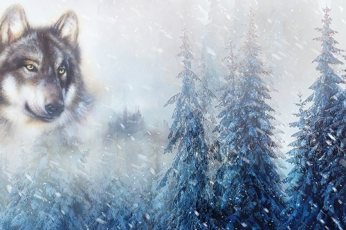Samolepící tapeta vlk v zasněžené krajině