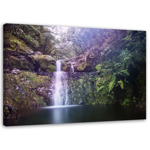 Obraz na plátně Vodopád Lesní příroda