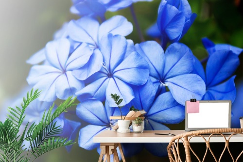 Samolepící fototapeta divoké modré květiny