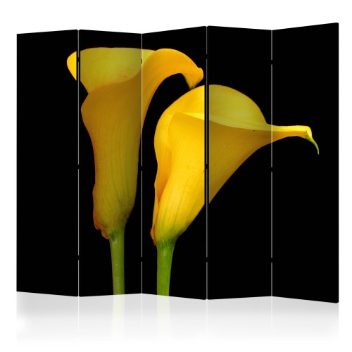 Paraván - Two yellow calla flowers on a black background II [Room Dividers]