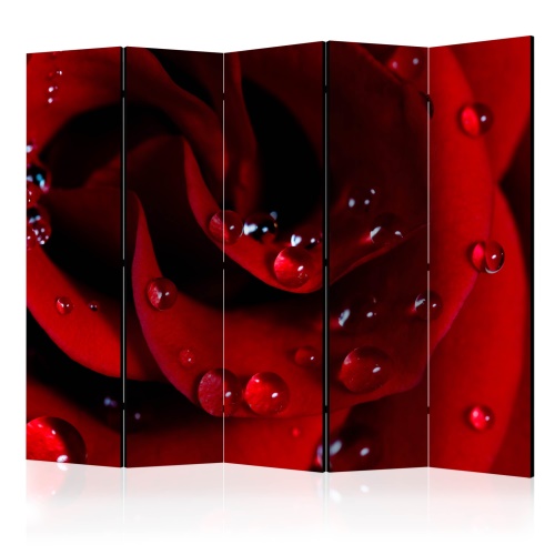 Paraván - Red rose with water drops II [Room Dividers]