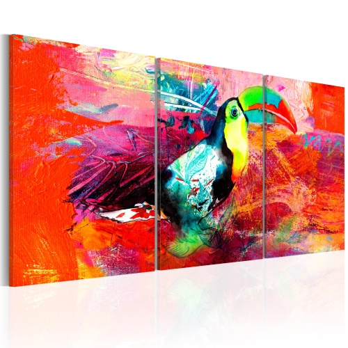 Obraz - Colourful Toucan