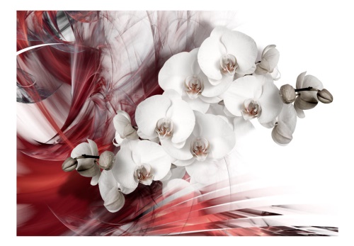 Fototapeta - Orchid in red