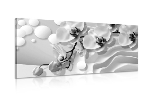 Obraz černobílá orchidej na abstraktním pozadí
