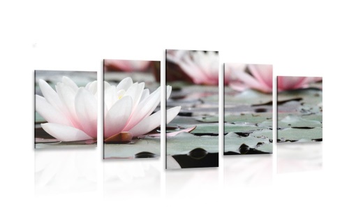 5-dílný obraz lotosový květ