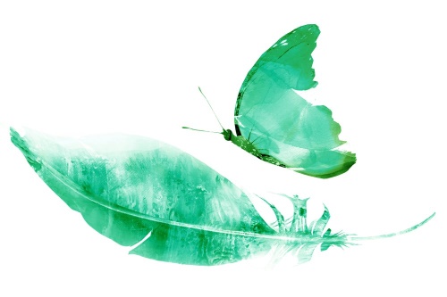 Samolepící tapeta pírko s motýlem v zeleném provedení