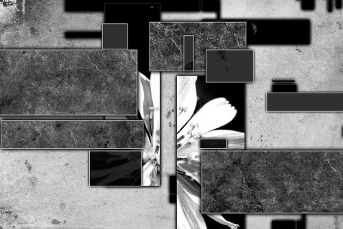 Obraz abstrakce v černobílém provedení s květinou