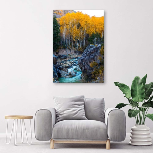 Obraz na plátně Příroda potočního lesa
