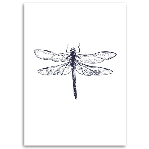 Obraz na plátně Vážka Hmyz Příroda