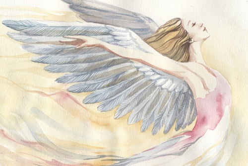 Obraz svobodný anděl