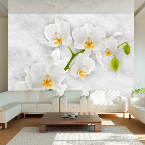 Fototapeta - Lyrical orchid - White