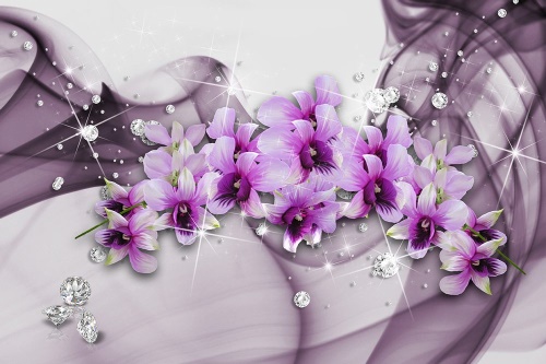 Tapeta krásné fialové květiny na abstraktním pozadí